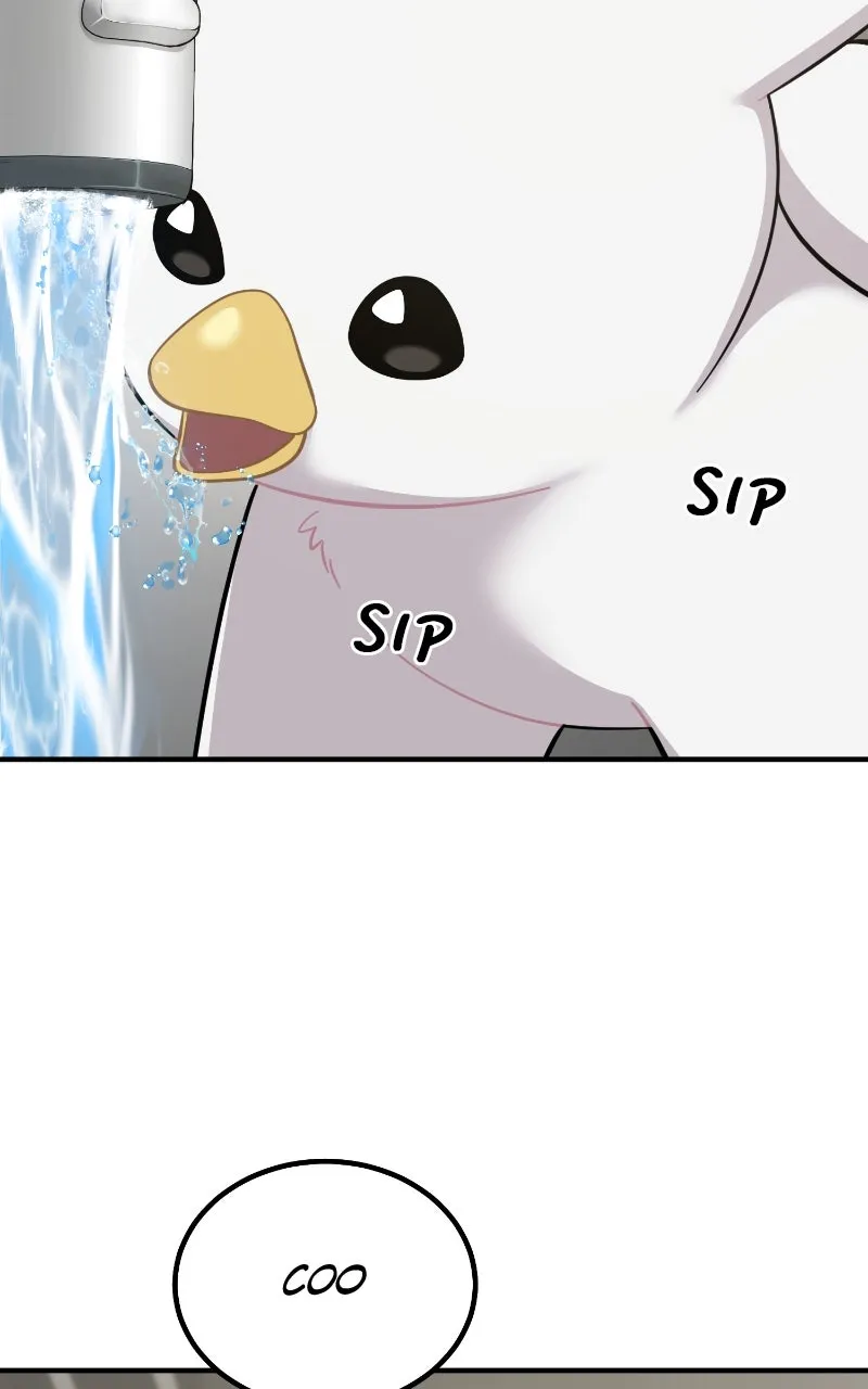 Read Hello, Little Griffin! chapter 2 image 80 on Lezhin