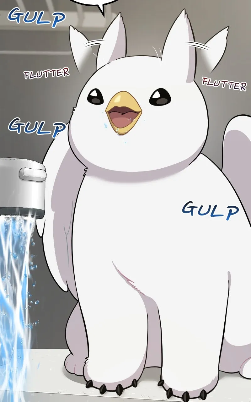 Read Hello, Little Griffin! chapter 2 image 81 on Lezhin