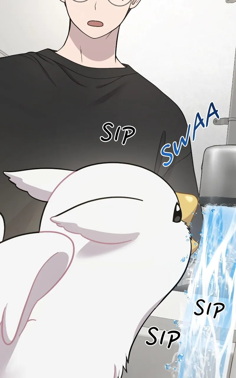 Read Hello, Little Griffin! chapter 2 image 83 on Lezhin