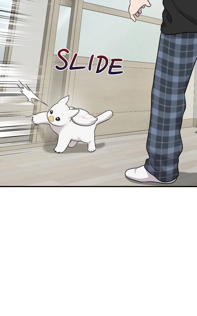 Read Hello, Little Griffin! chapter 2 image 89 on Lezhin