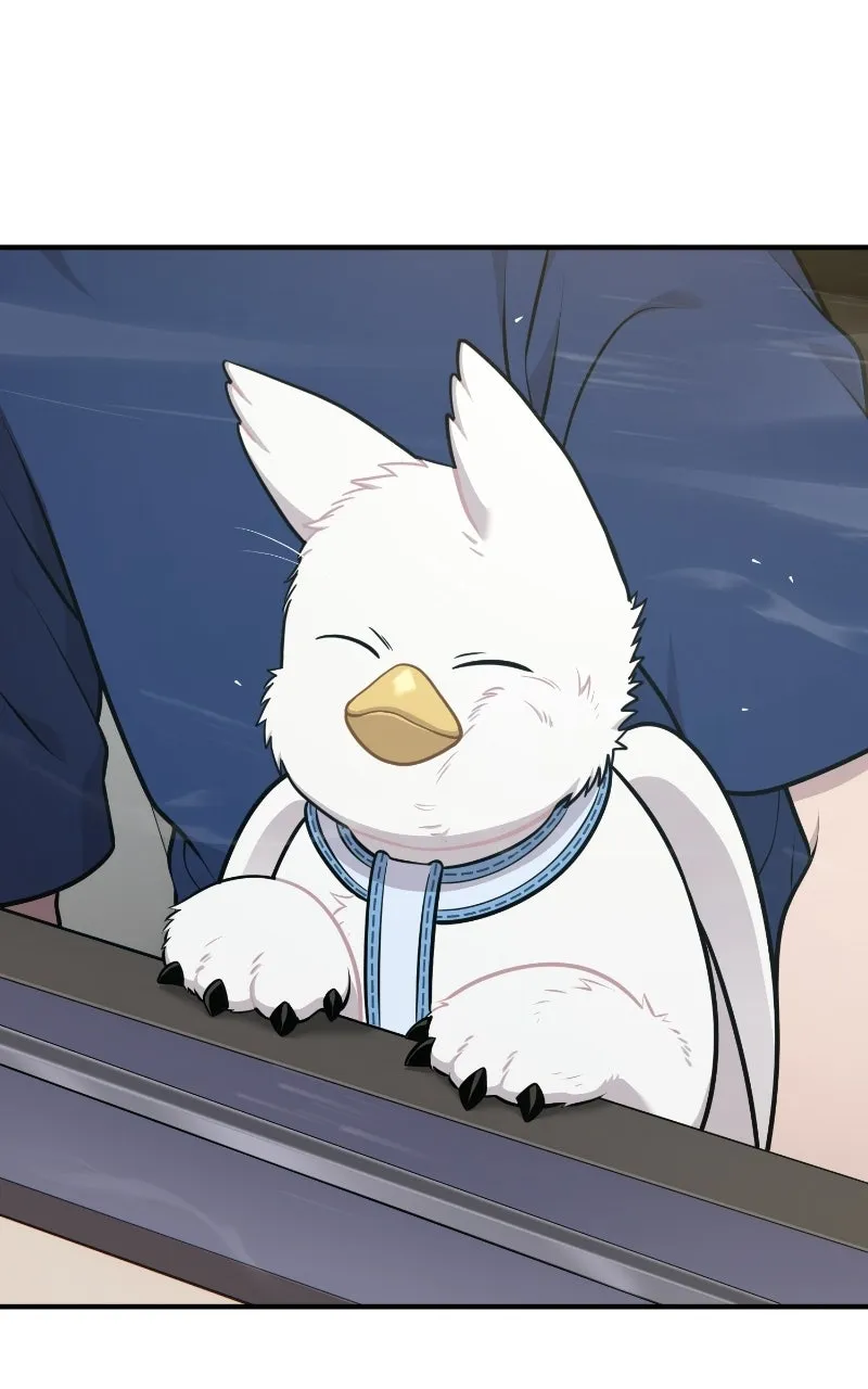 Read Hello, Little Griffin! chapter 23 image 11 on Lezhin