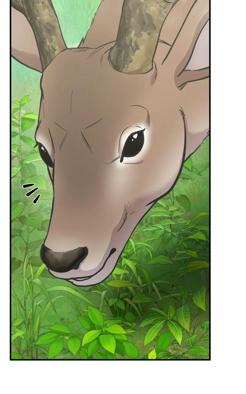 Read Hello, Little Griffin! chapter 23 image 3 on Lezhin