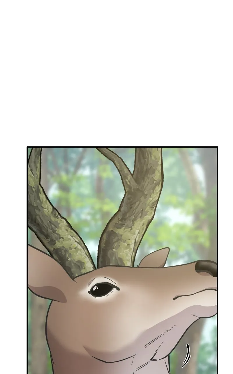 Read Hello, Little Griffin! chapter 23 image 4 on Lezhin