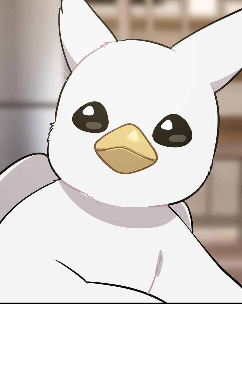Read Hello, Little Griffin! chapter 24 image 102 on Lezhin