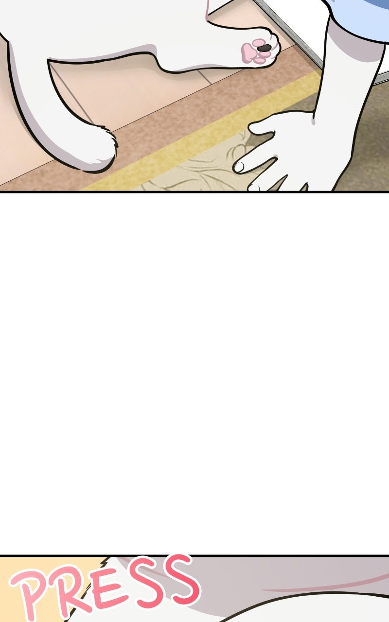 Read Hello, Little Griffin! chapter 24 image 108 on Lezhin
