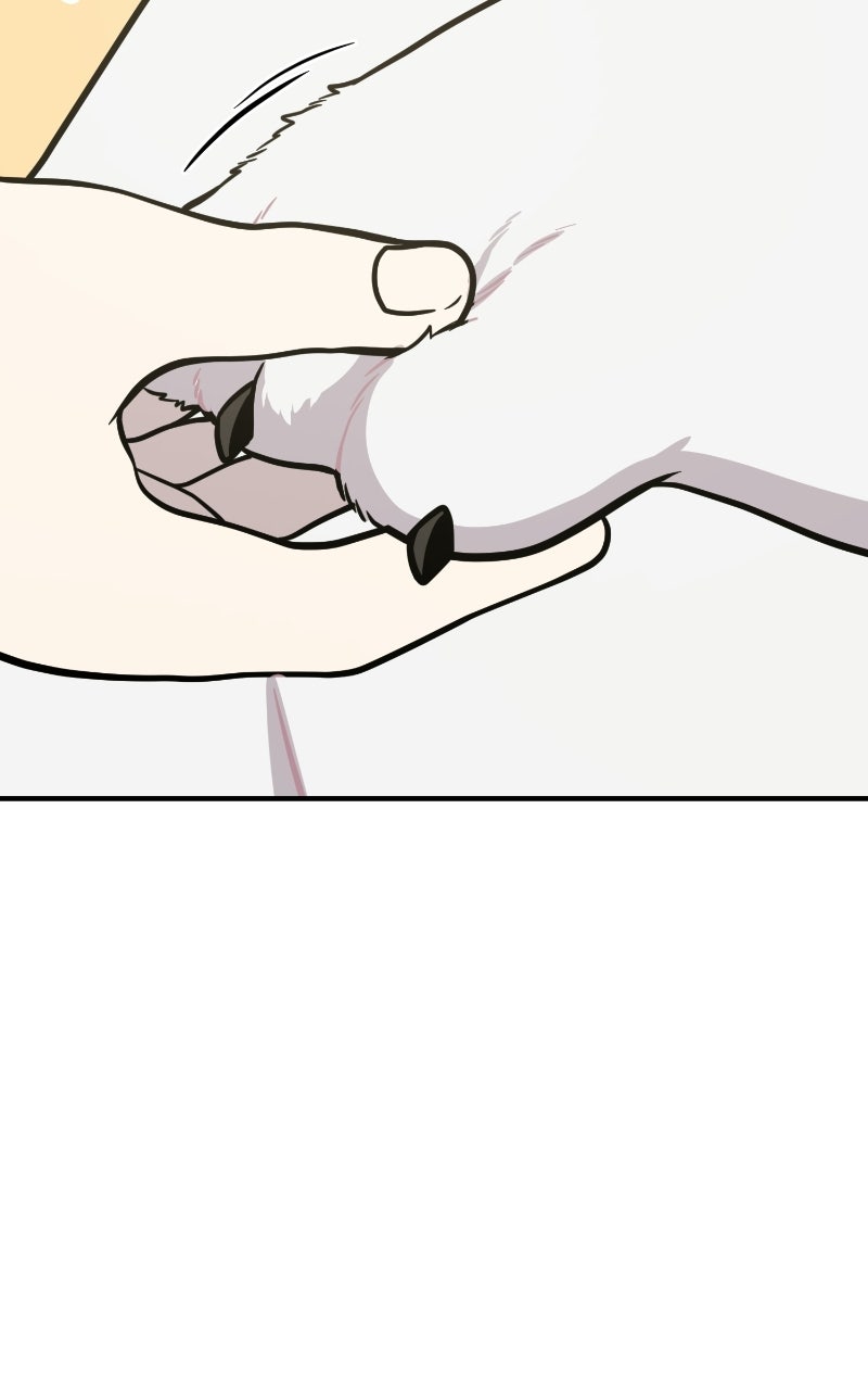 Read Hello, Little Griffin! chapter 24 image 109 on Lezhin