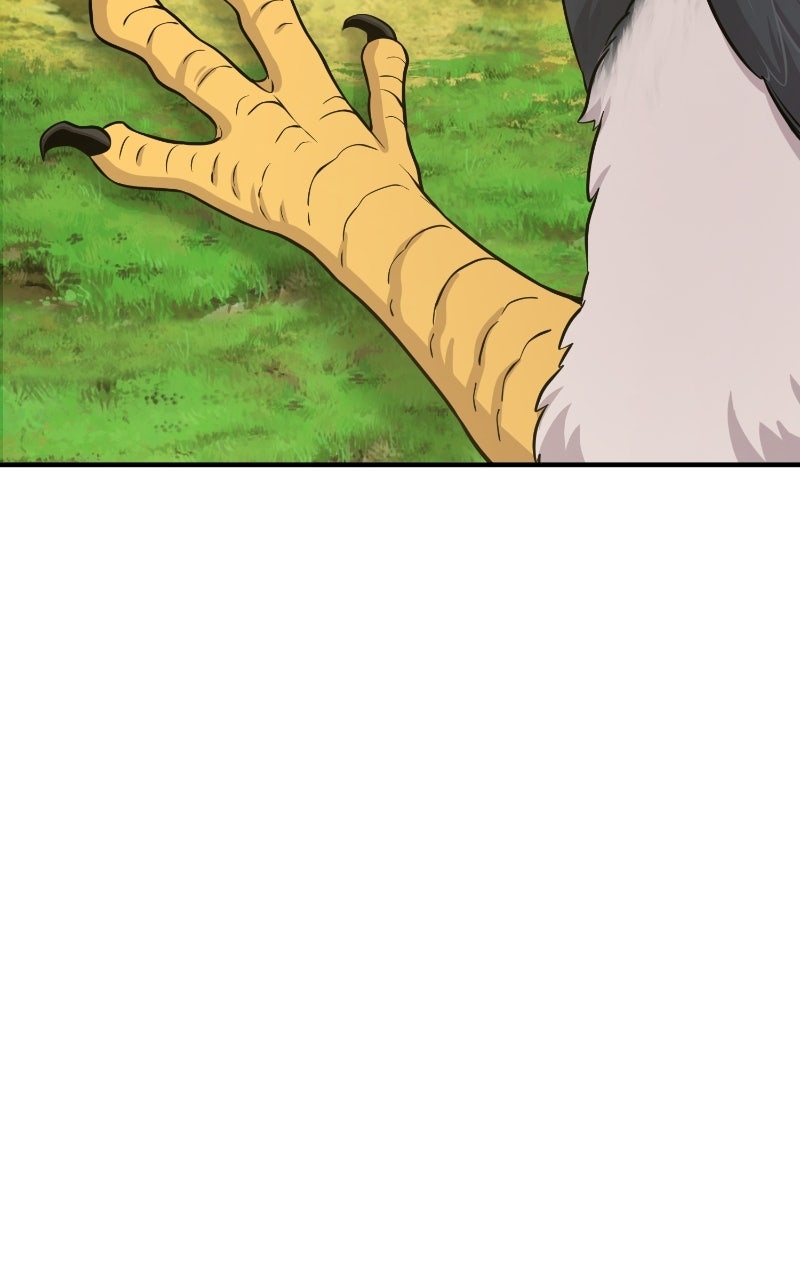 Read Hello, Little Griffin! chapter 24 image 66 on Lezhin