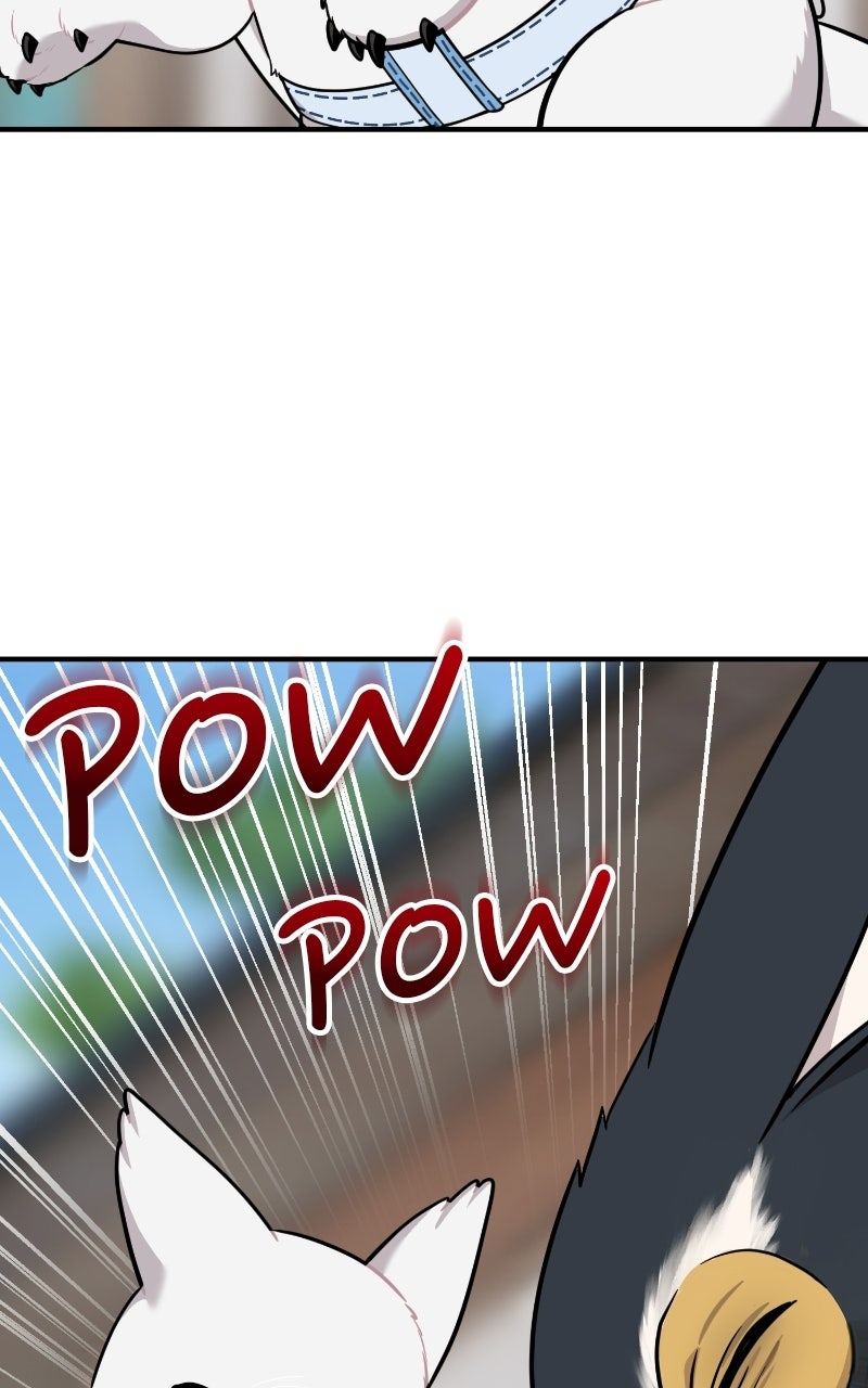 Read Hello, Little Griffin! chapter 24 image 68 on Lezhin