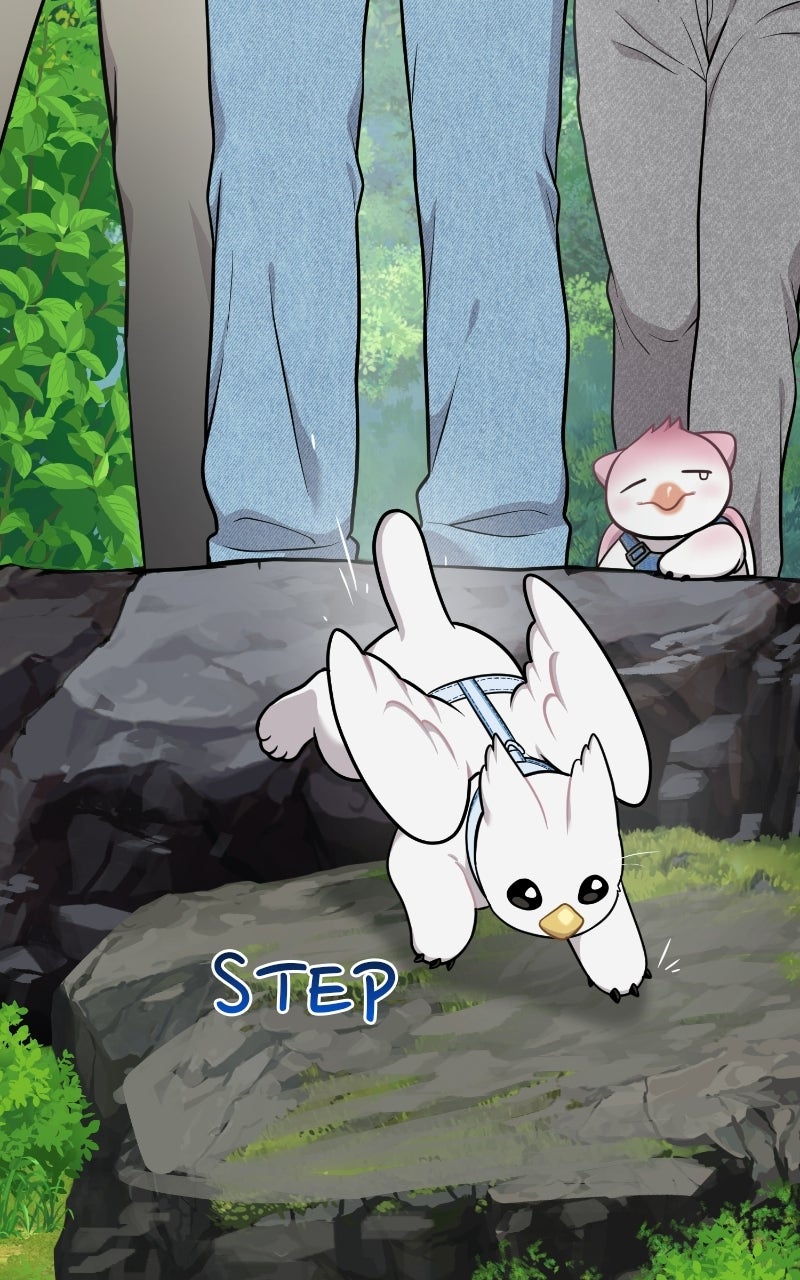 Read Hello, Little Griffin! chapter 25 image 20 on Lezhin