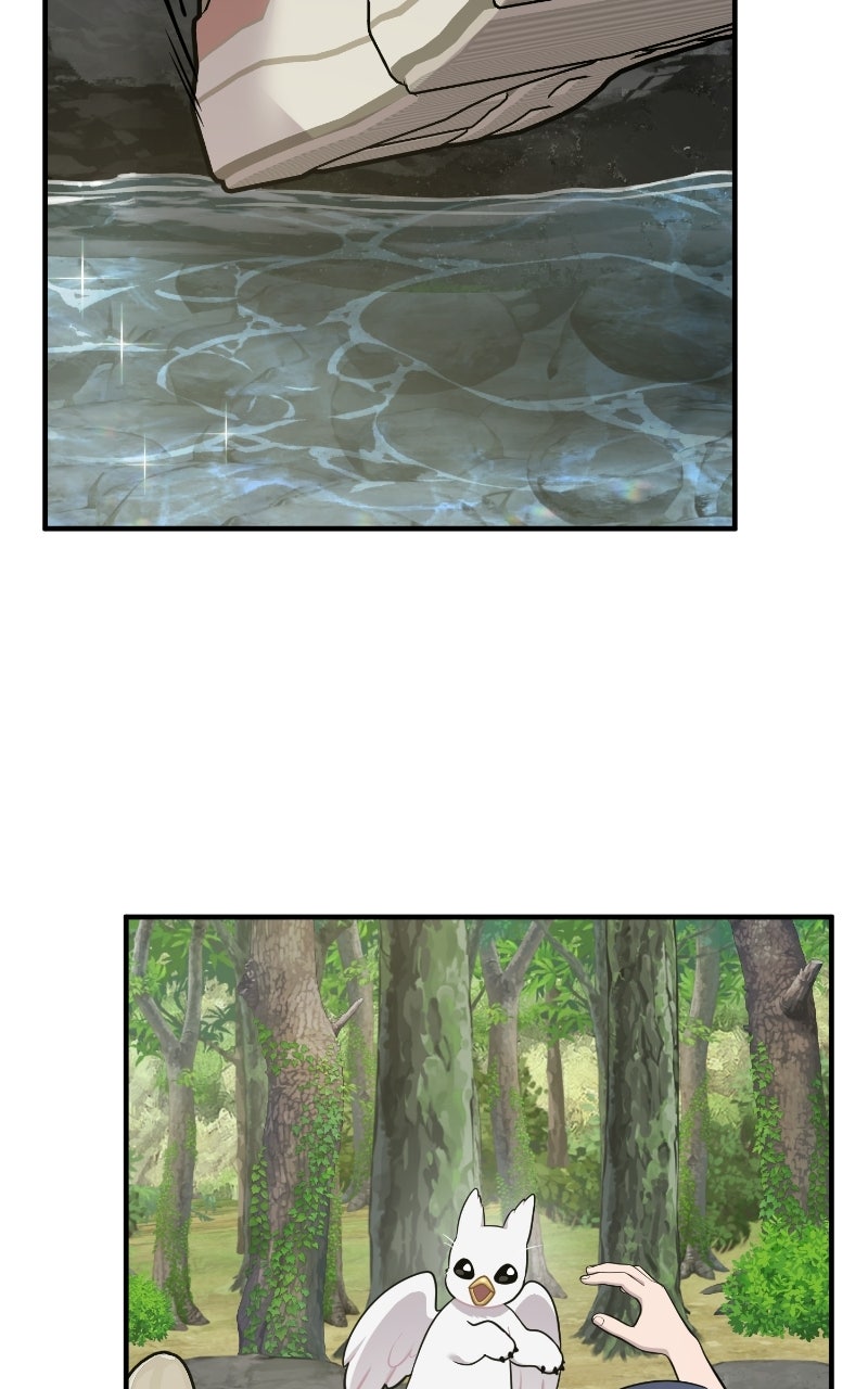 Read Hello, Little Griffin! chapter 25 image 51 on Lezhin