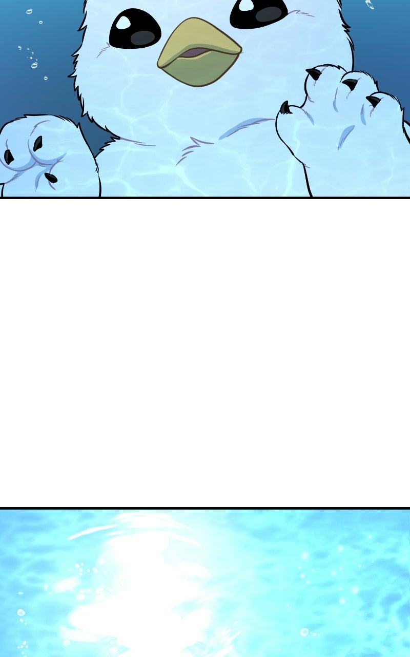 Read Hello, Little Griffin! chapter 25 image 64 on Lezhin