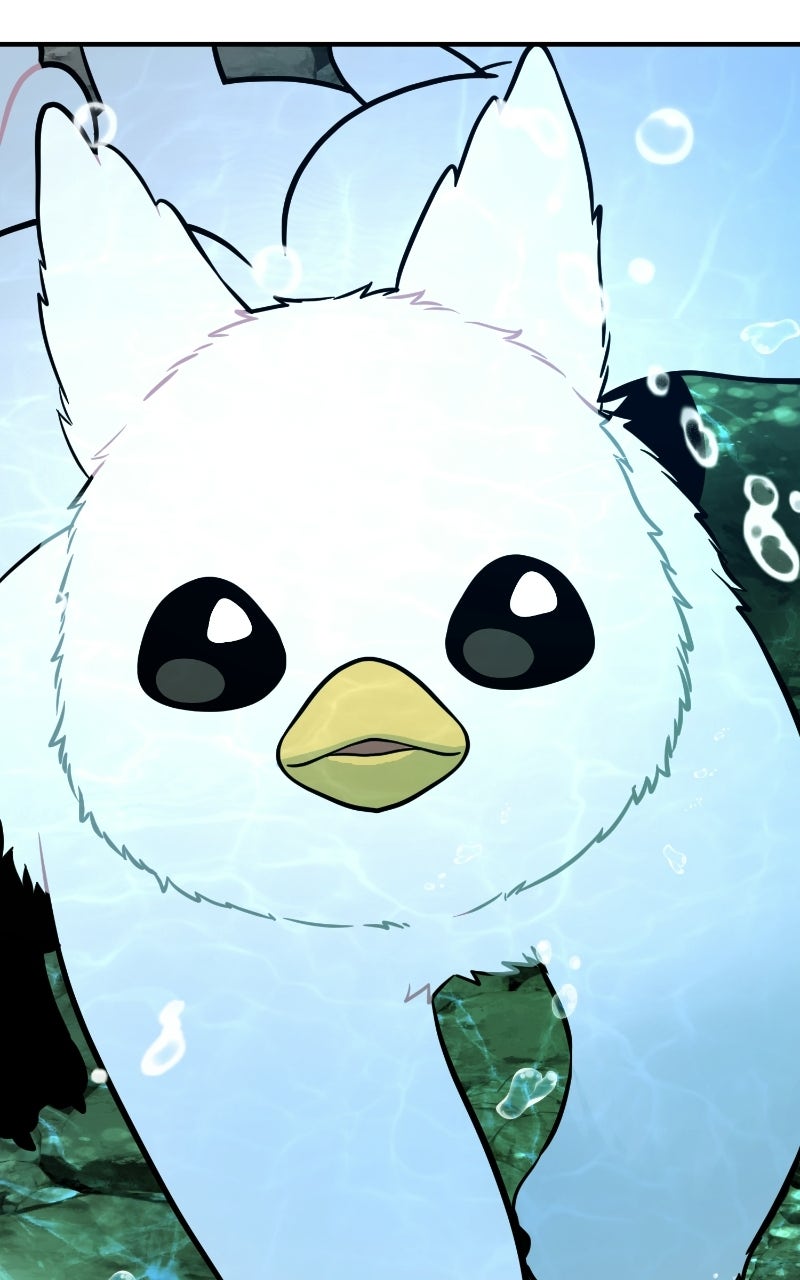 Read Hello, Little Griffin! chapter 25 image 67 on Lezhin