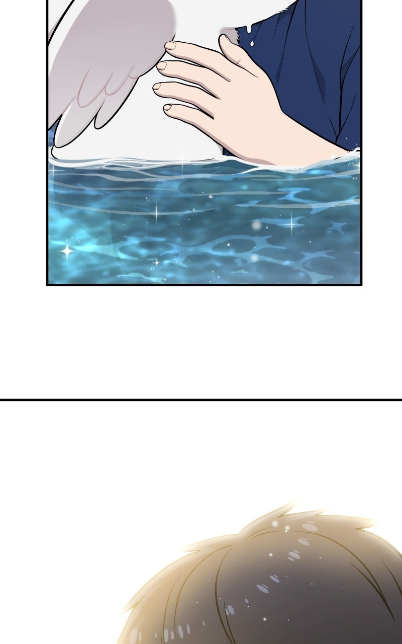 Read Hello, Little Griffin! chapter 25 image 71 on Lezhin