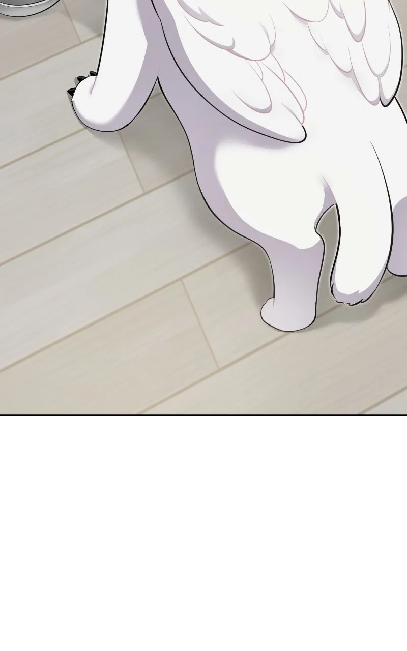 Read Hello, Little Griffin! chapter 3 image 1 on Lezhin