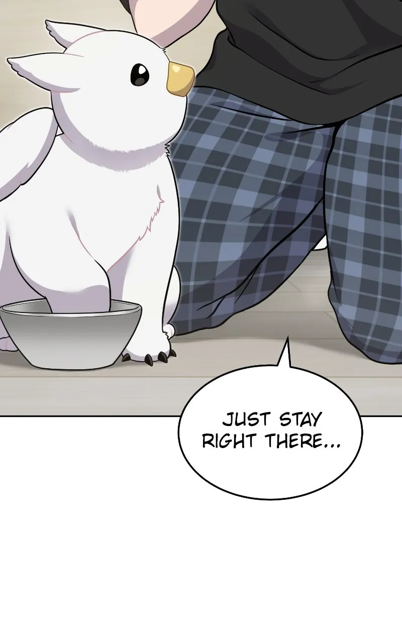 Read Hello, Little Griffin! chapter 3 image 3 on Lezhin