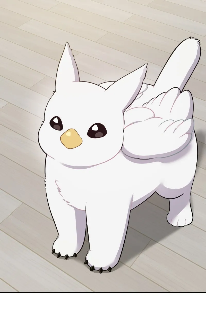 Read Hello, Little Griffin! chapter 3 image 34 on Lezhin