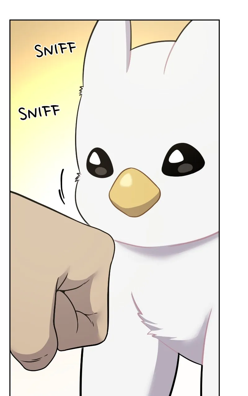 Read Hello, Little Griffin! chapter 3 image 41 on Lezhin