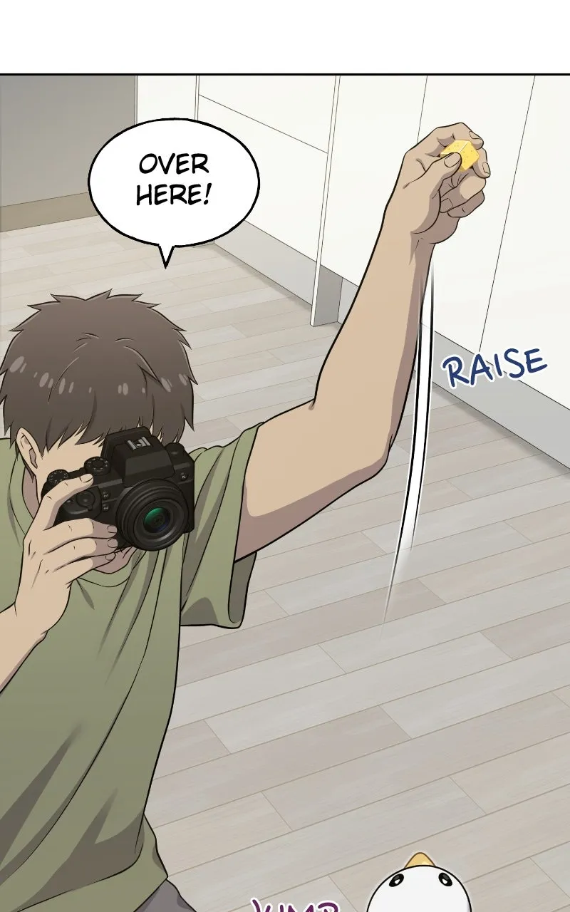 Read Hello, Little Griffin! chapter 3 image 59 on Lezhin