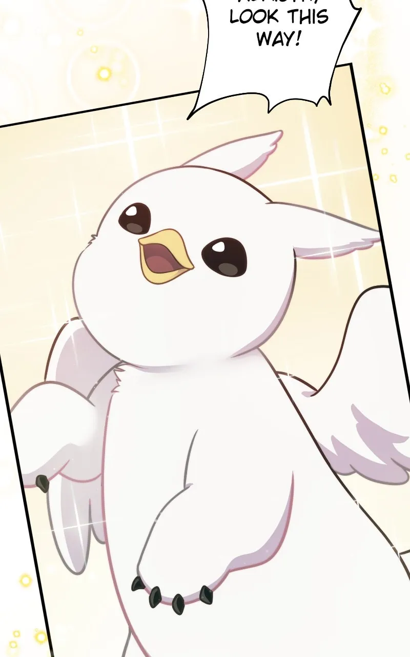 Read Hello, Little Griffin! chapter 3 image 61 on Lezhin