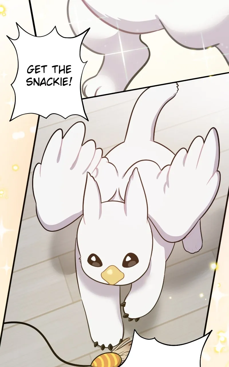 Read Hello, Little Griffin! chapter 3 image 62 on Lezhin