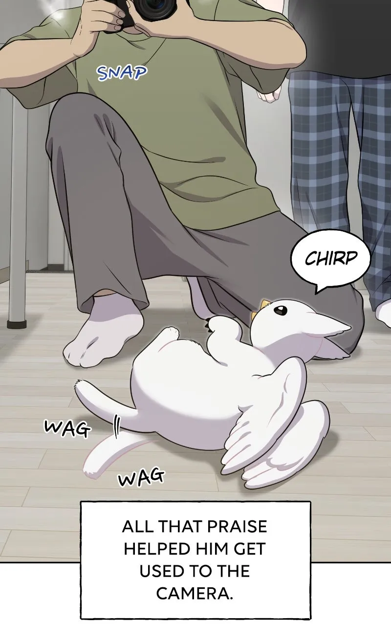 Read Hello, Little Griffin! chapter 3 image 66 on Lezhin