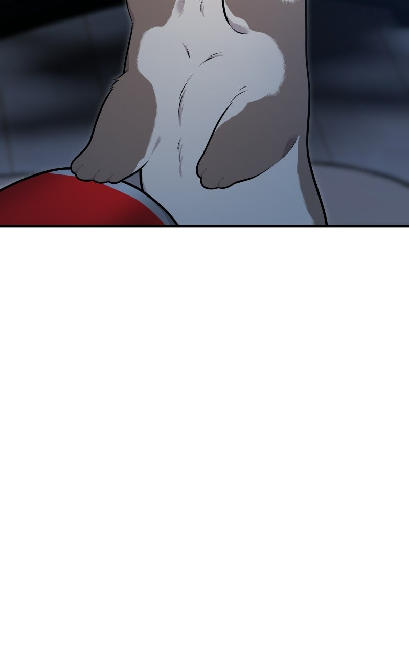 Read Hello, Little Griffin! chapter 30 image 62 on Lezhin