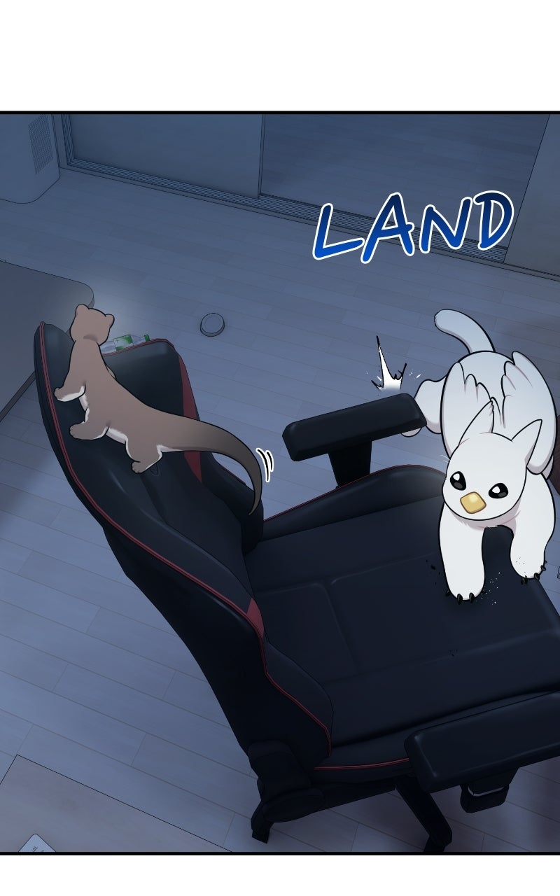 Read Hello, Little Griffin! chapter 30 image 71 on Lezhin