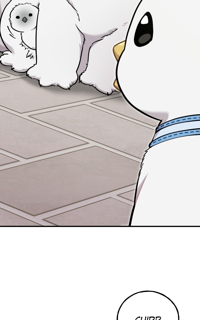 Read Hello, Little Griffin! chapter 33 image 1 on Lezhin