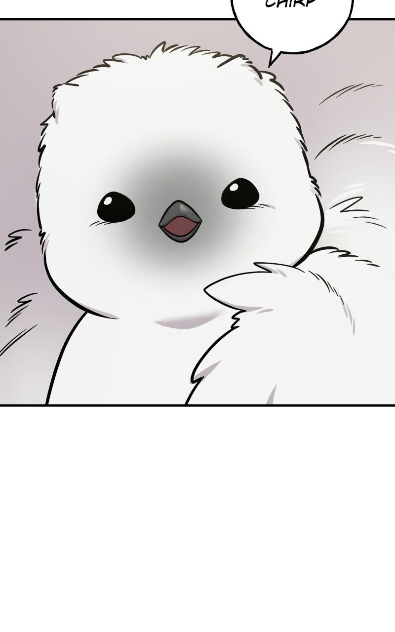 Read Hello, Little Griffin! chapter 33 image 2 on Lezhin
