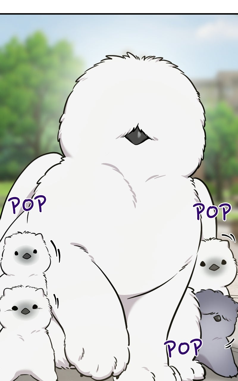 Read Hello, Little Griffin! chapter 33 image 3 on Lezhin