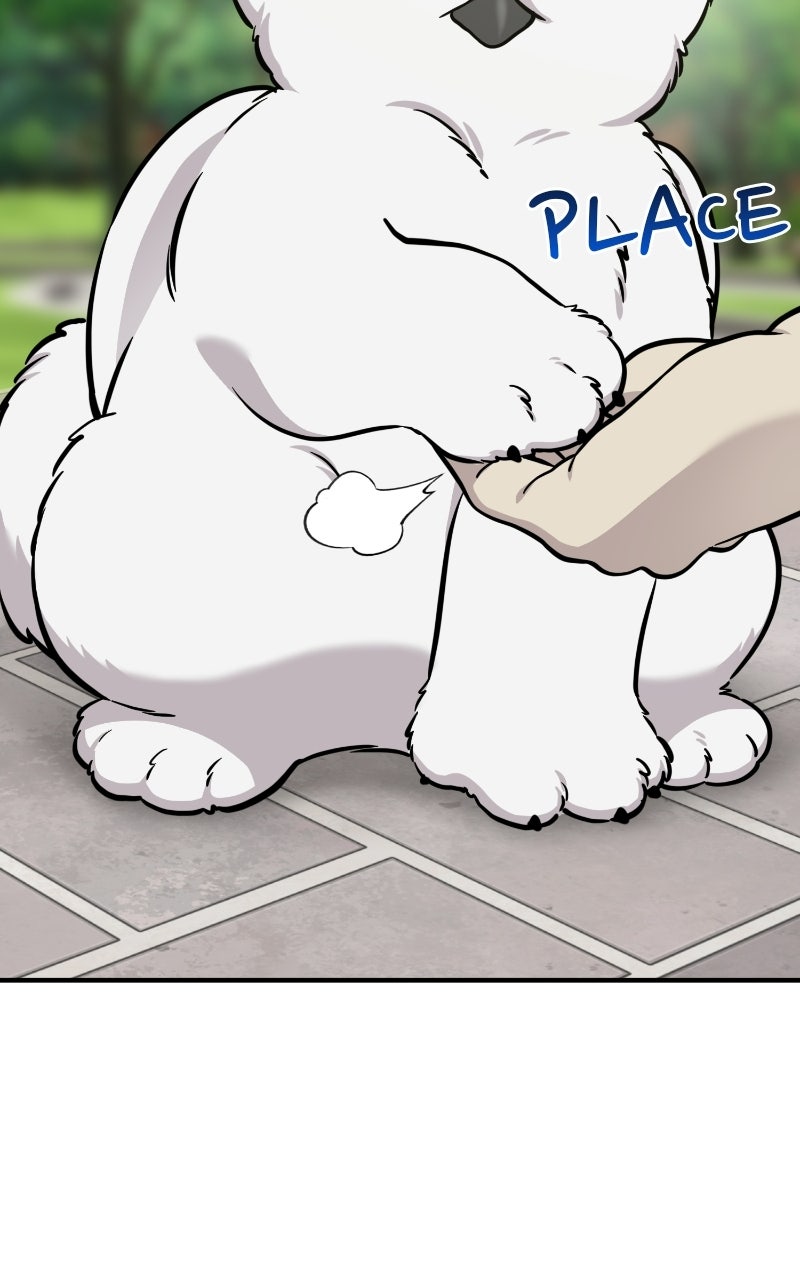 Read Hello, Little Griffin! chapter 33 image 36 on Lezhin