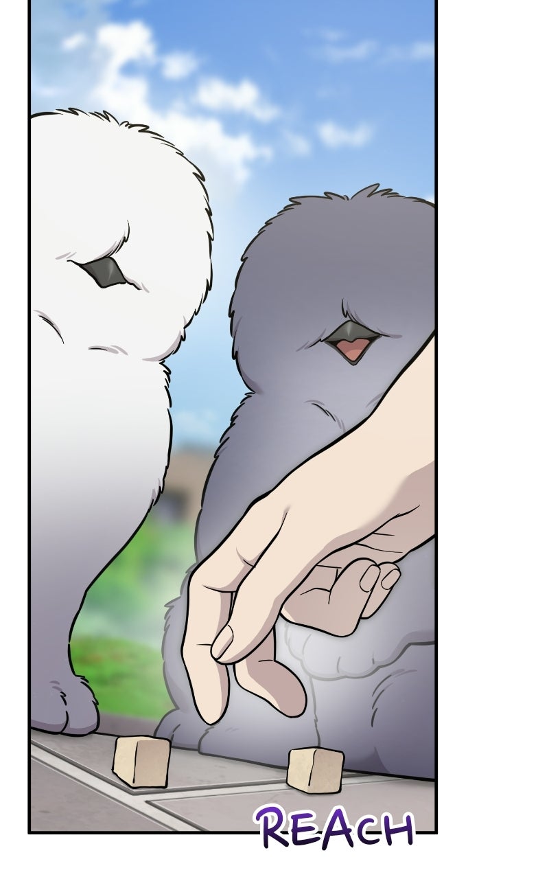 Read Hello, Little Griffin! chapter 33 image 42 on Lezhin