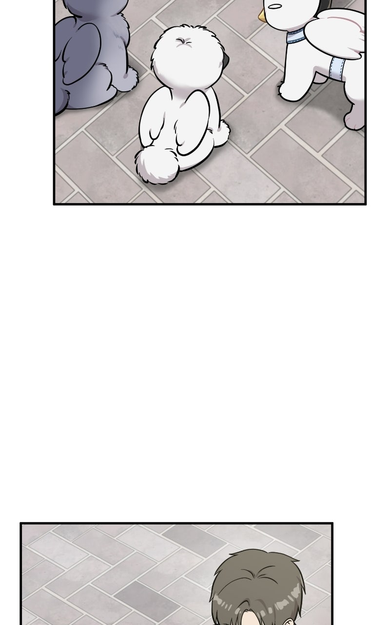 Read Hello, Little Griffin! chapter 33 image 47 on Lezhin