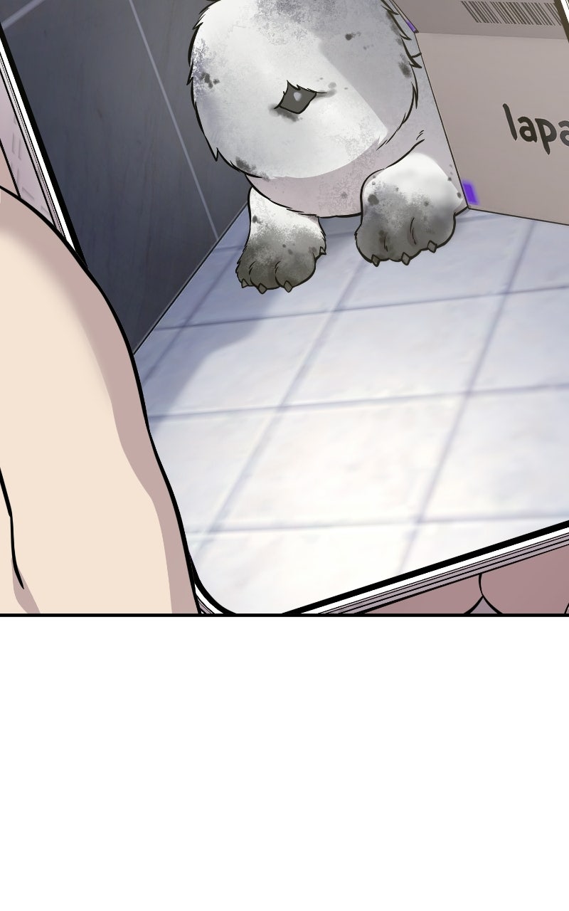 Read Hello, Little Griffin! chapter 33 image 68 on Lezhin