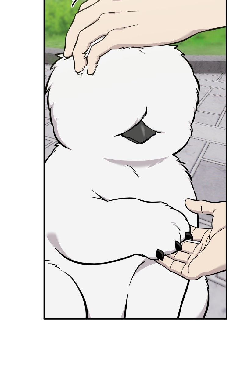 Read Hello, Little Griffin! chapter 33 image 84 on Lezhin