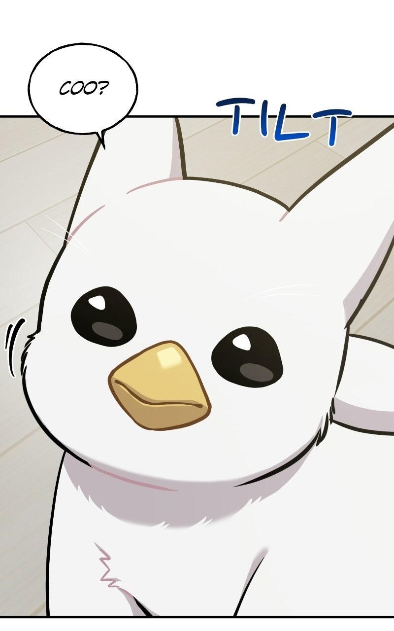 Read Hello, Little Griffin! chapter 34 image 74 on Lezhin