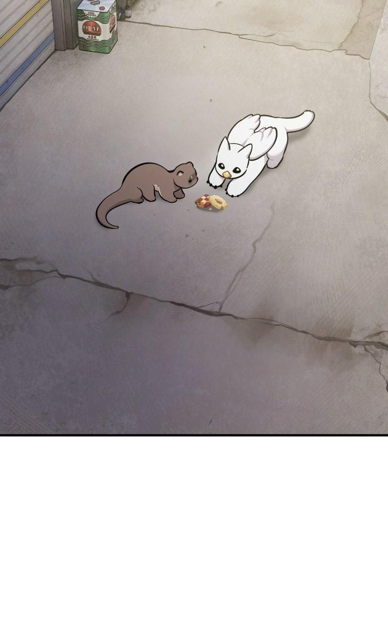 Read Hello, Little Griffin! chapter 35 image 102 on Lezhin