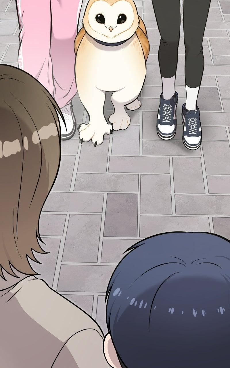 Read Hello, Little Griffin! chapter 35 image 19 on Lezhin