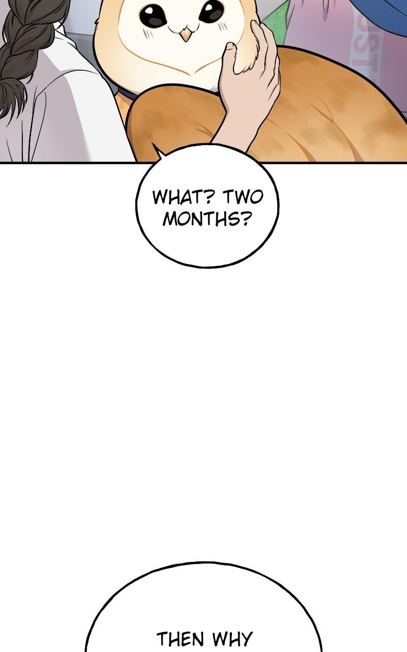 Read Hello, Little Griffin! chapter 35 image 52 on Lezhin