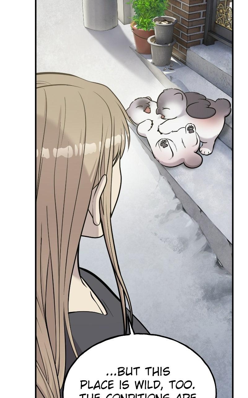 Read Hello, Little Griffin! chapter 37 image 12 on Lezhin