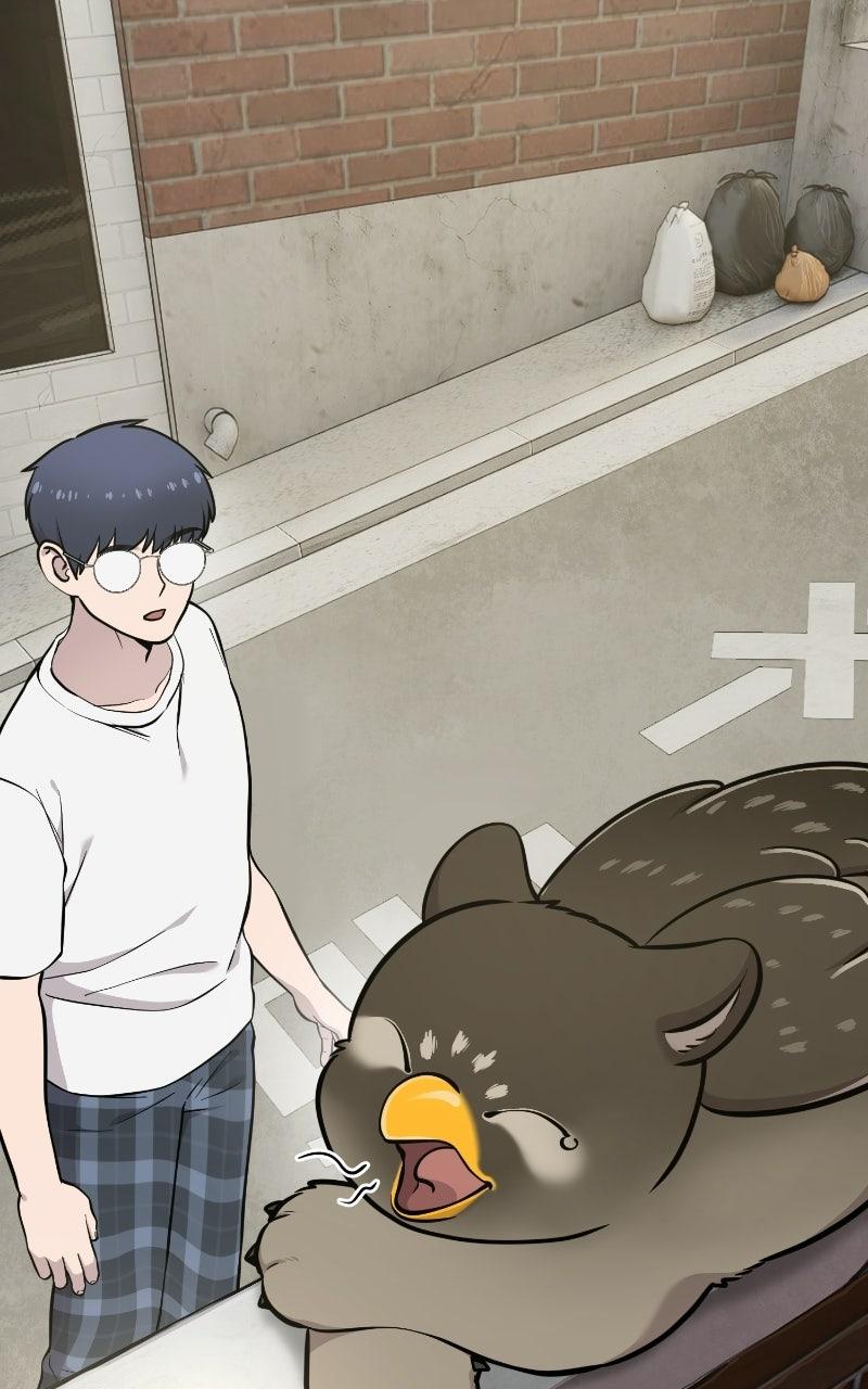 Read Hello, Little Griffin! chapter 37 image 5 on Lezhin