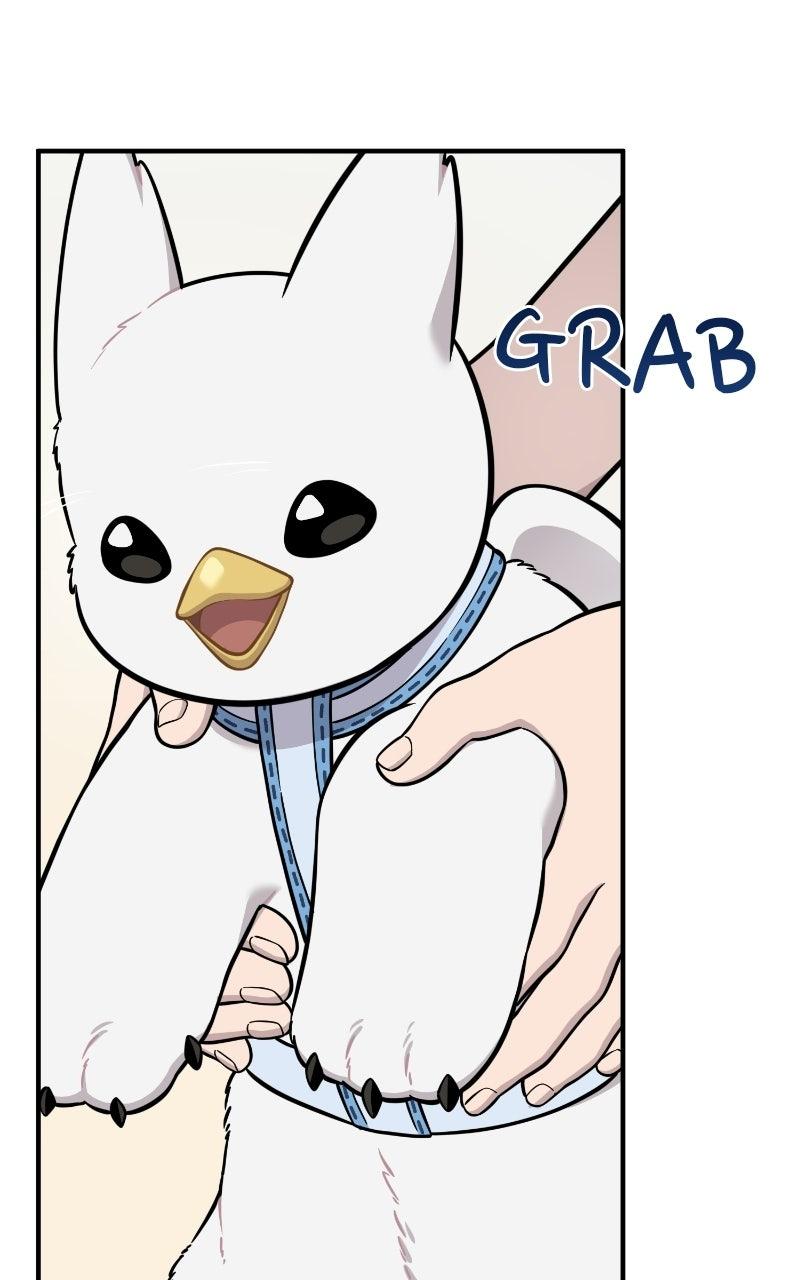 Read Hello, Little Griffin! chapter 37 image 71 on Lezhin