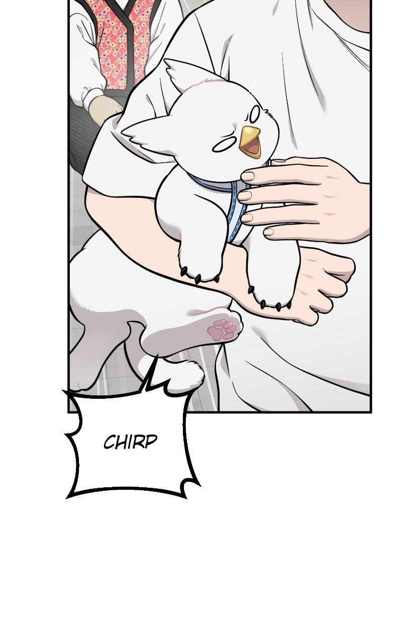 Read Hello, Little Griffin! chapter 37 image 73 on Lezhin