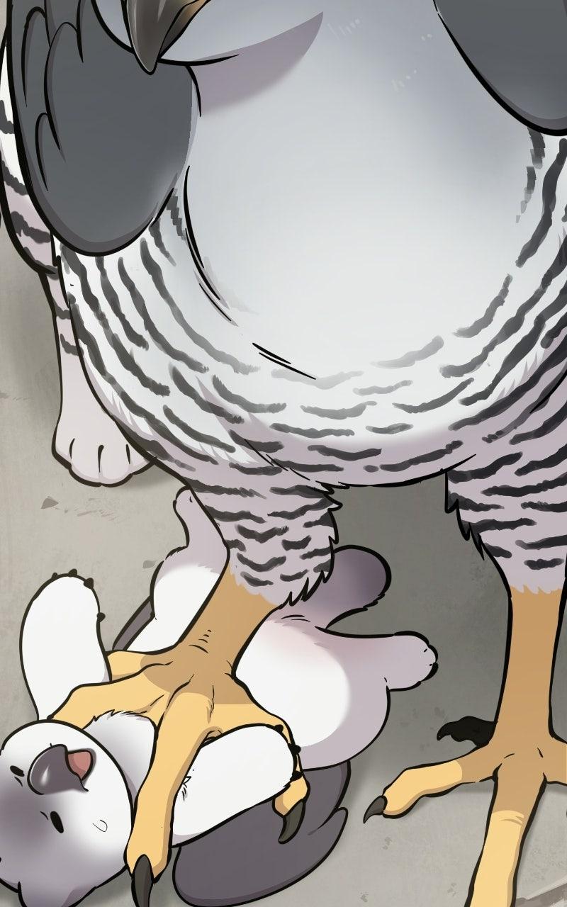 Read Hello, Little Griffin! chapter 38 image 104 on Lezhin