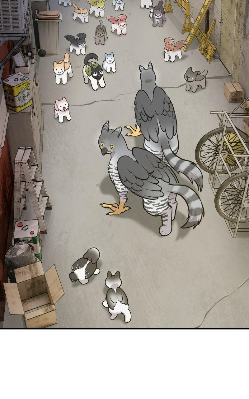 Read Hello, Little Griffin! chapter 39 image 1 on Lezhin