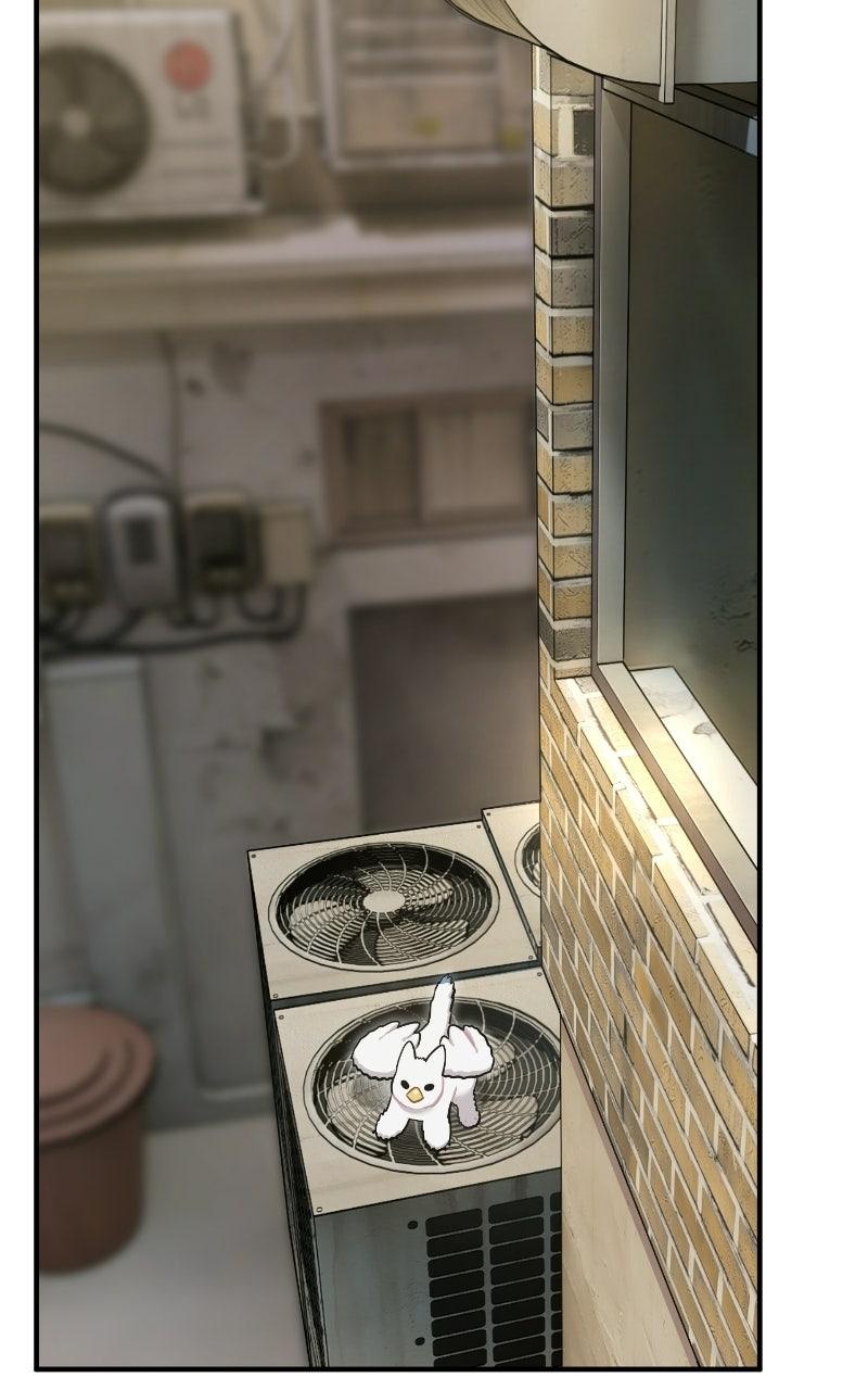 Read Hello, Little Griffin! chapter 39 image 56 on Lezhin