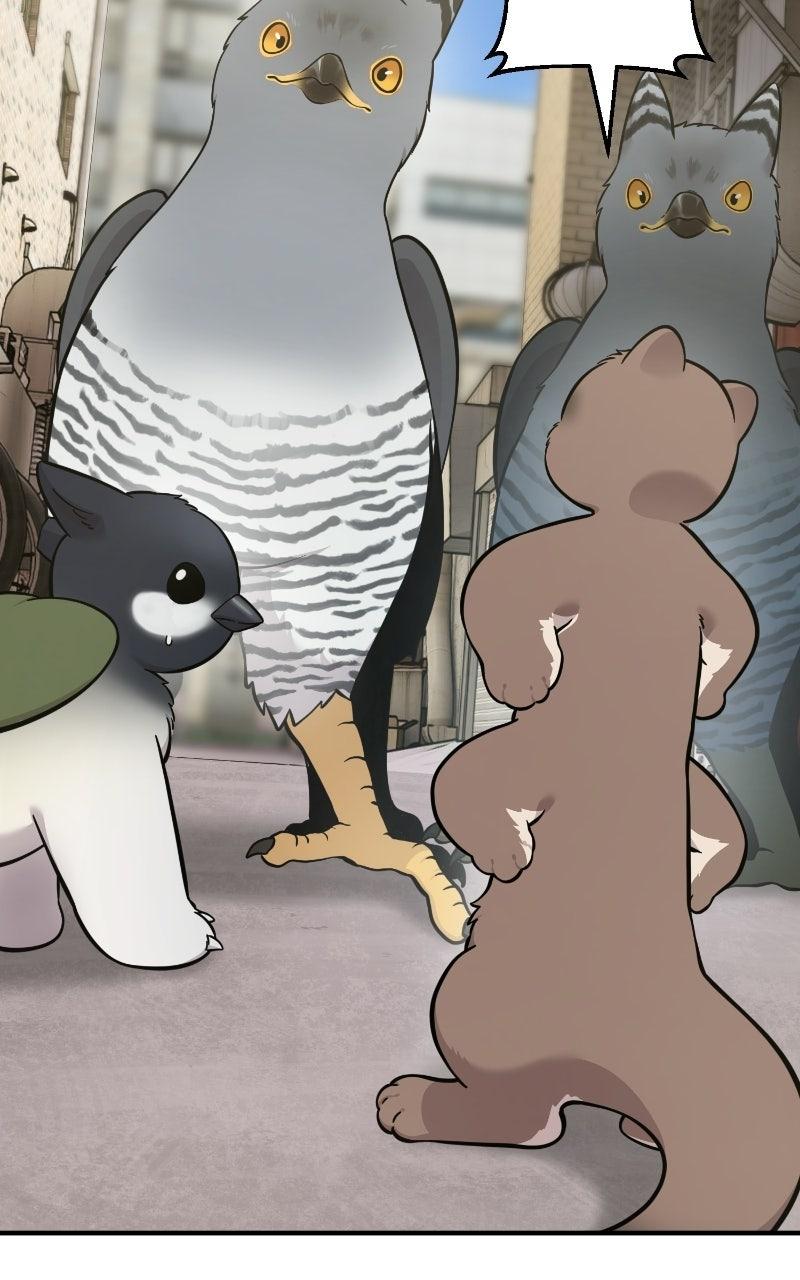 Read Hello, Little Griffin! chapter 39 image 8 on Lezhin