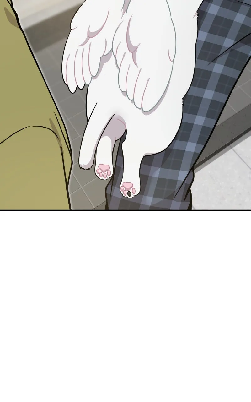 Read Hello, Little Griffin! chapter 4 image 106 on Lezhin
