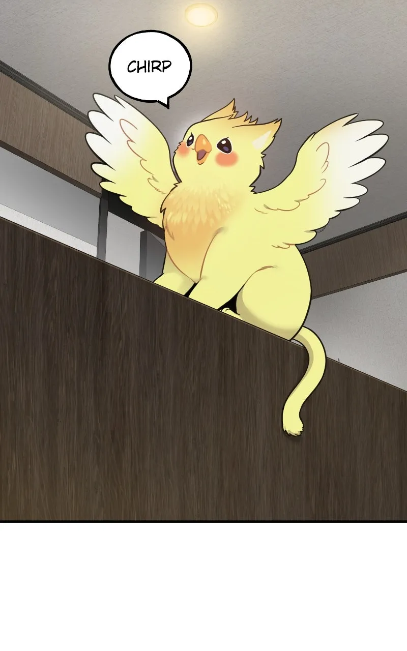 Read Hello, Little Griffin! chapter 4 image 24 on Lezhin
