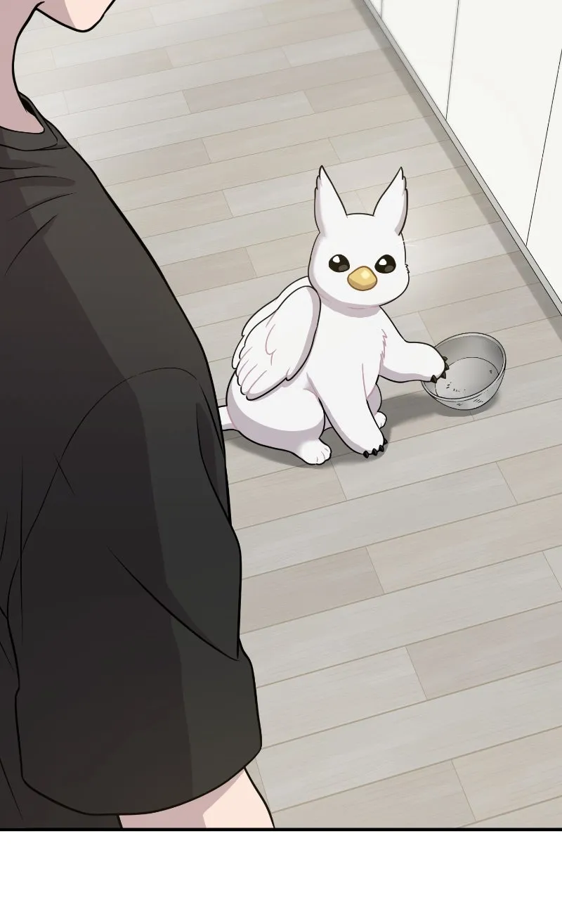 Read Hello, Little Griffin! chapter 4 image 79 on Lezhin
